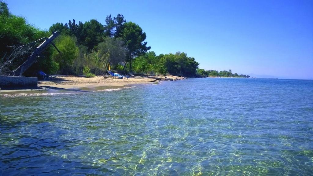 Ionio Apartments Lefkími Kültér fotó
