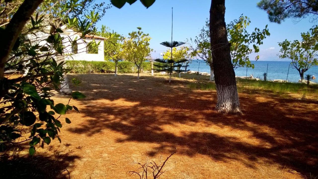 Ionio Apartments Lefkími Kültér fotó